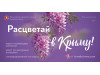 Новосибирцев приглашают в Крым!