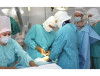 Novosibirsk Scientific-and-Research Institute for Traumatology and Orthopedics named after Ia.L. Tsivian