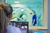 National Medical Research Center named after Academician E.N. Meshalkin