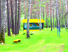 Children's Health-improvement Camp "Solnechnyi mys-2"