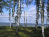 Recreation Facility "Buhta"