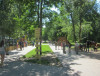 Park of Culture and Recreation "Birch grove"