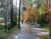 Park of Culture and Recreation "Pine forest"