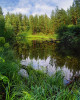 Караканский бор