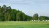 Экскурсия на страусиную ферму