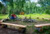 Таежник