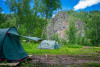 Таежник